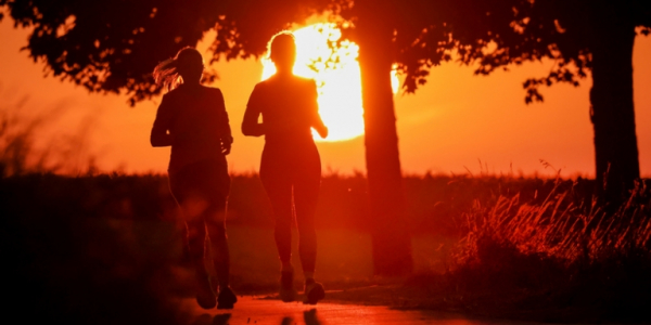 Названы продукты, которые защитят сердце и сосуды в жару Названы продукты, которые защитят сердце и сосуды в жару