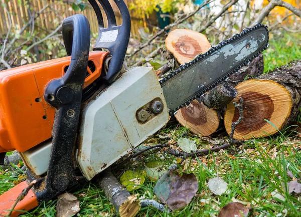 Как выбрать бензопилу, рейтинг бензиновых пил STIHL Как выбрать бензопилу, рейтинг бензиновых пил STIHL