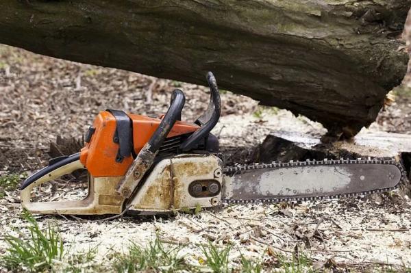 Как выбрать бензопилу, рейтинг бензиновых пил STIHL Как выбрать бензопилу, рейтинг бензиновых пил STIHL