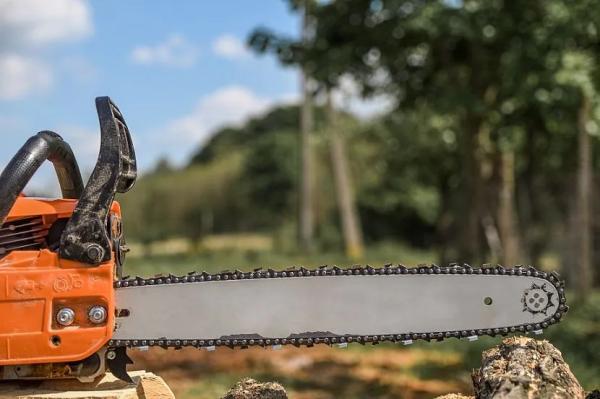 Как выбрать бензопилу, рейтинг бензиновых пил STIHL Как выбрать бензопилу, рейтинг бензиновых пил STIHL