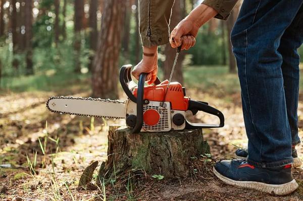Как выбрать бензопилу, рейтинг бензиновых пил STIHL Как выбрать бензопилу, рейтинг бензиновых пил STIHL