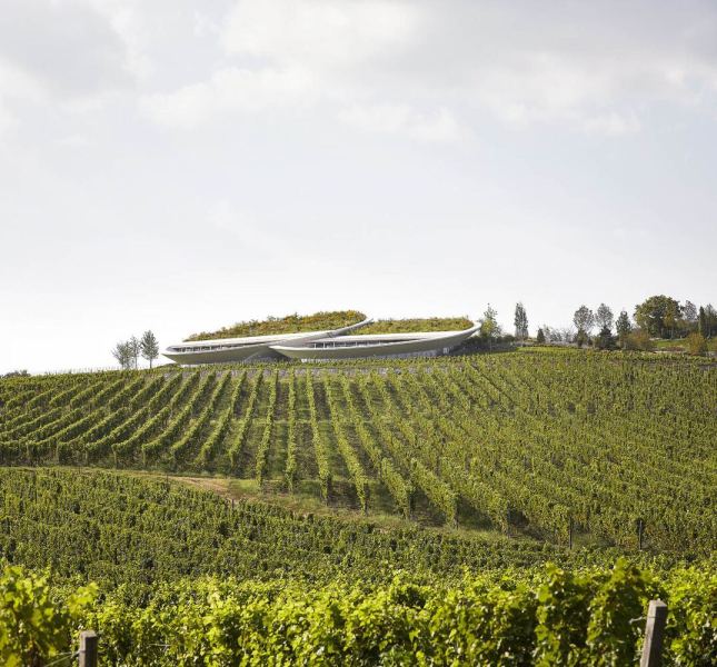 Открыта винодельня Sauska Tokaj в городе Ратка, Венгрия