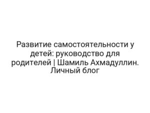 Развитие самостоятельности у детей: руководство для родителей | Шамиль Ахмадуллин. Личный блог